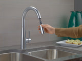 1-Handle Pull-Down Kitchen Faucet Arctic, Stainless