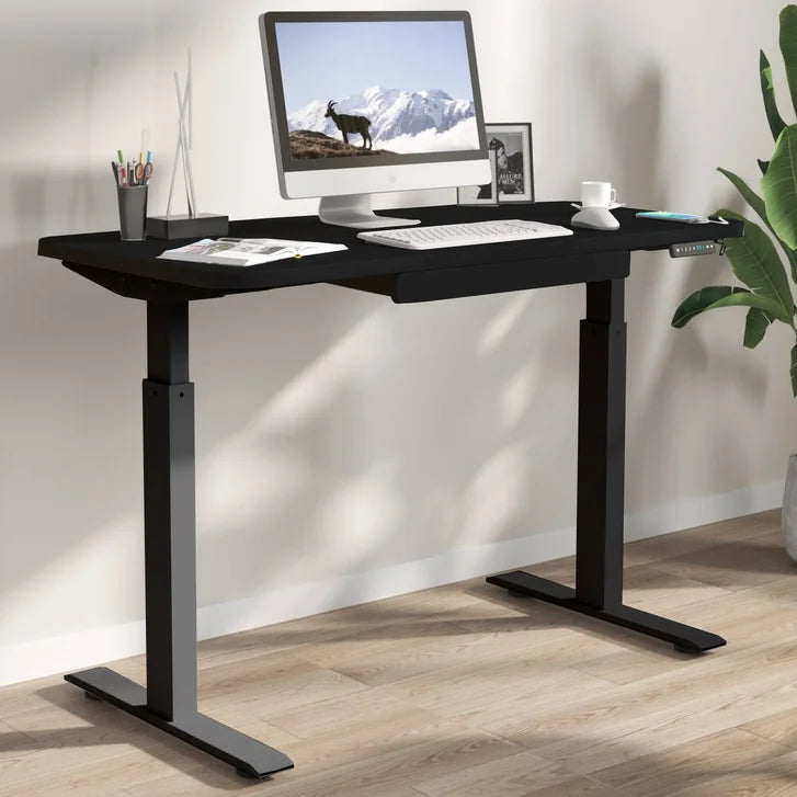 Motionwise 121.9 cm x 61 cm (48 in. x 24 in.) Height Adjustable Desk J7265